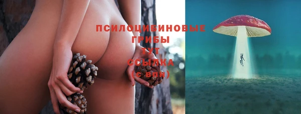 соль курить ск Алзамай