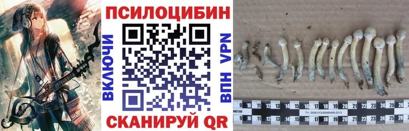 Галлюциногенные грибы прущие грибы  Константиновск 