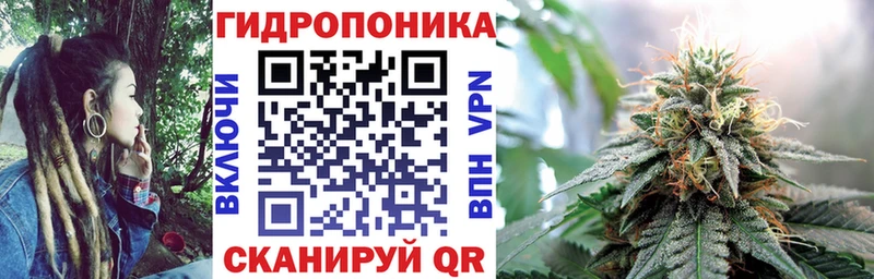 гидра   Константиновск  Каннабис OG Kush 